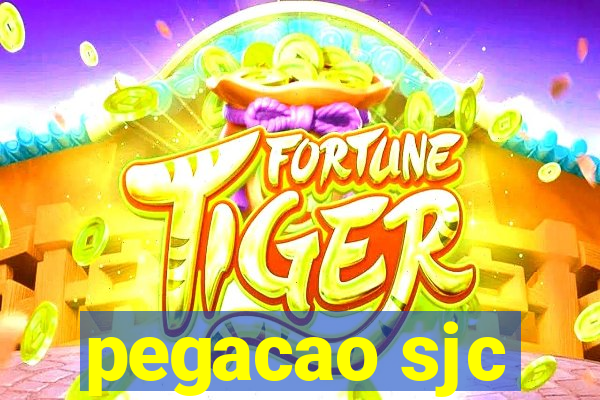 pegacao sjc